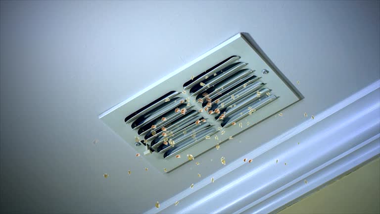 Best Air Duct Cleaning Near Me  in Clarendon Hls, IL
